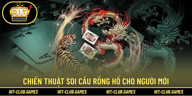 Hướng dẫn soi cầu Rồng Hổ dành cho người mới bắt đầu