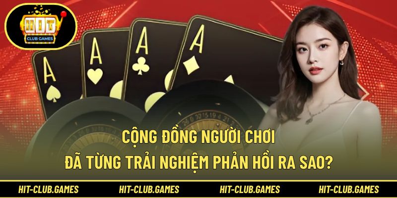 Những đánh giá thật từ hội viên đang sử dụng nền tảng