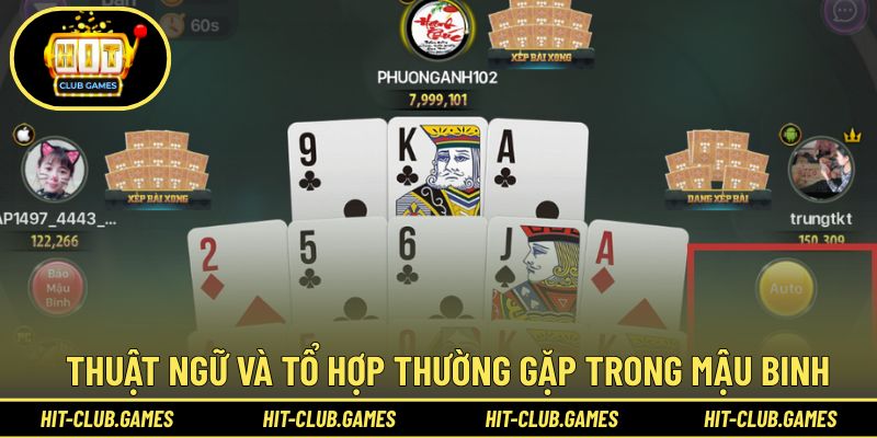 Khám phá các thuật ngữ và tổ hợp bài quen thuộc nhất